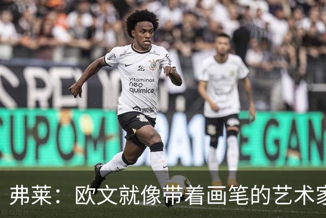 弗莱：欧文就像带着画笔的艺术家 他的进攻动作衔接就像画画一样